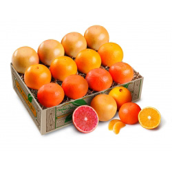 Fruit Trio