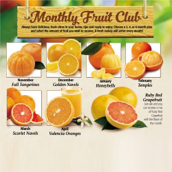 Fruit of the Month Club