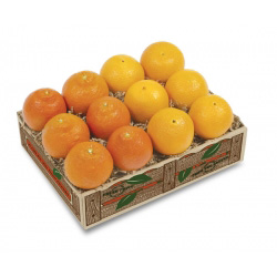 Honeybells and Navels