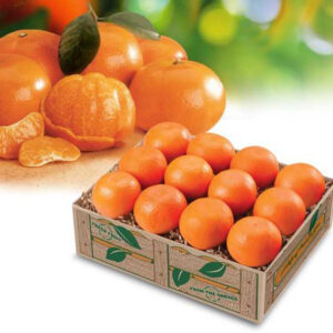 Scarlet Navel Oranges, Florida Citrus Fruit - Hyatt Fruit Company