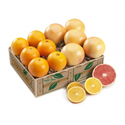 Navel Oranges and Grapefruit