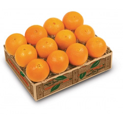 Orange Trio, Fresh Fruit Gift Delivery