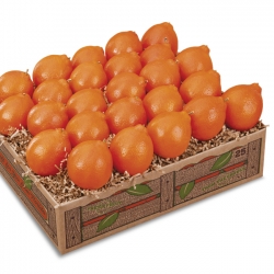 Petite Sweet Honeybells