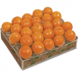 Petite Sweet Navel Oranges