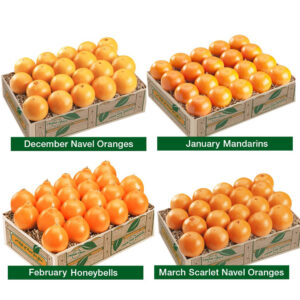 The Petite Sweets Club Plan