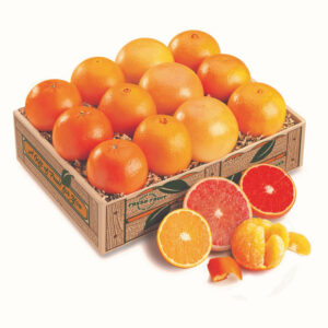 Sun-Kissed Sampler