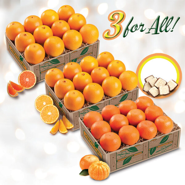 3 For All